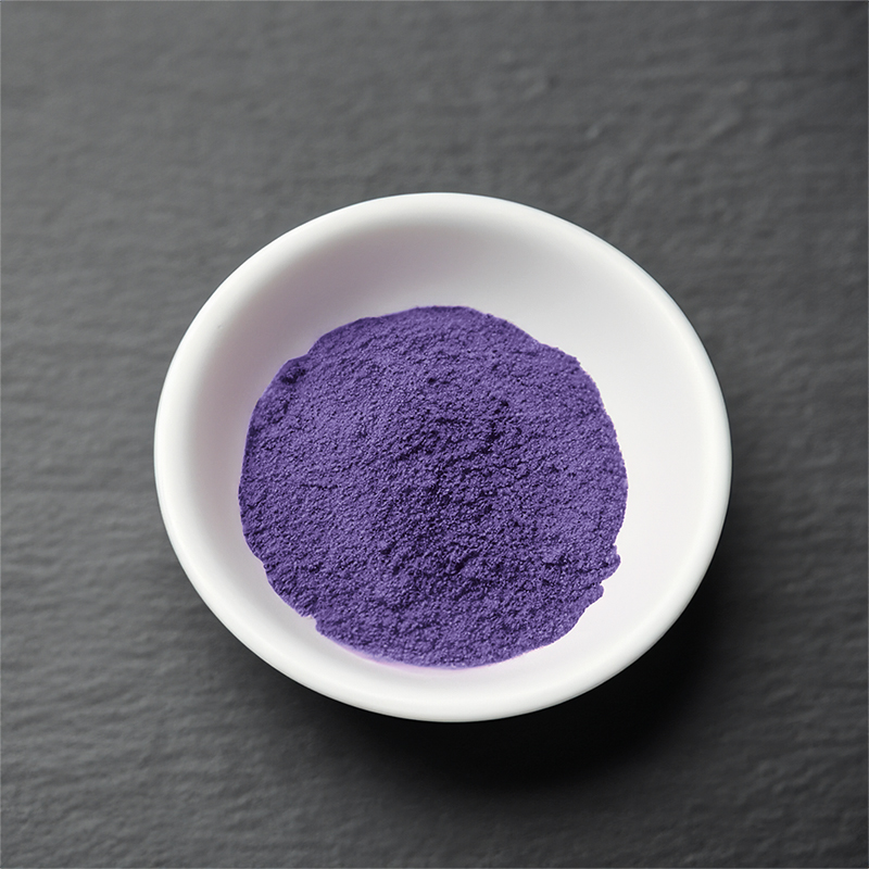 Pigment Violett 100 g (Restposten)