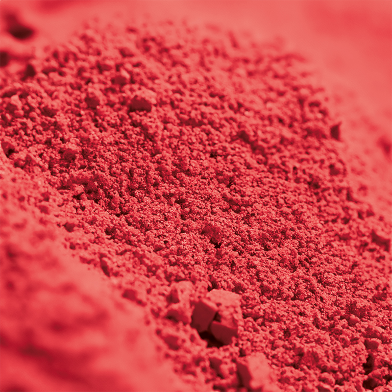 Rapidolehm Pigment Rot 100 g